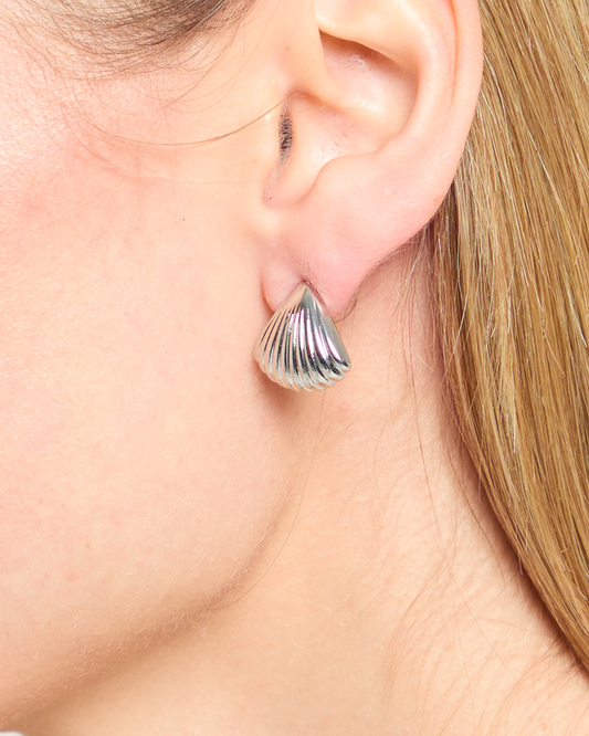 Seashell Stud Earrings