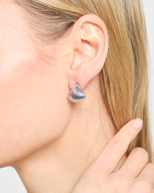 Seashell Stud Earrings