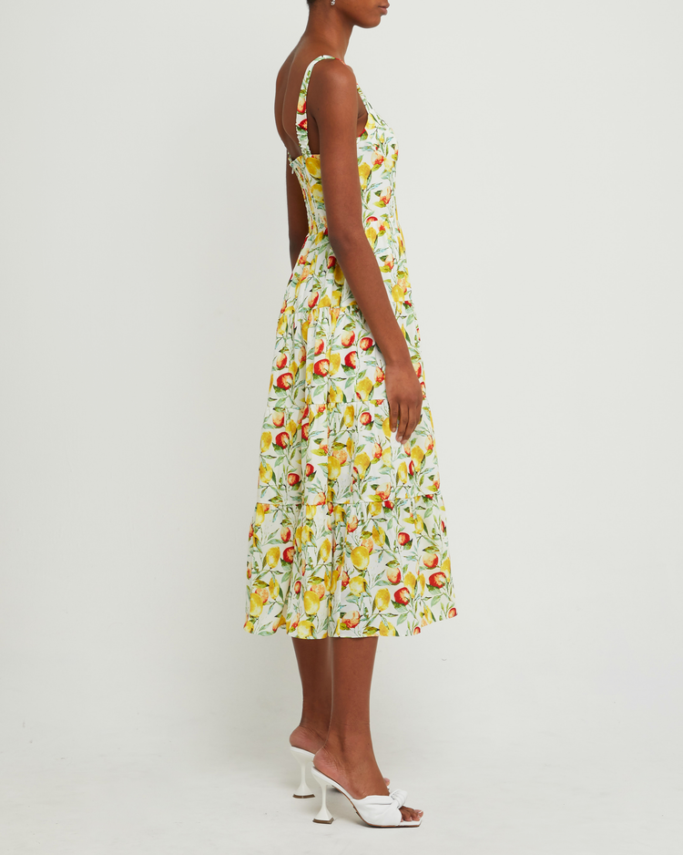 Third image of Catriona Dress, a midi dress, fruit print, multi, tank, sweetheart neckline